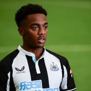 SHOCKING NEWS: Newcastle united FC legend player Joe willock (midfielder) has been officially sacked due to.... see more - Uncategorize 