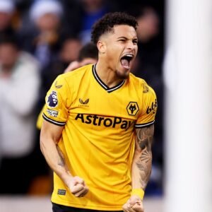 UNBELIEVABLE: Wolverhampton wanderers FC Central Midfielder João Gomes Has just signed a new contract....see more | Joao-Gomes-300x300 UNBELIEVABLE: Wolverhampton wanderers FC Central Midfielder João Gomes Has just signed a new contract....see more - Uncategorize