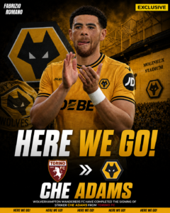 EXCLUSIVE: Wolverhampton Wanderers FC has just Completed the Signing Deal of a new Striker Che Adams from.... See more - Uncategorize 